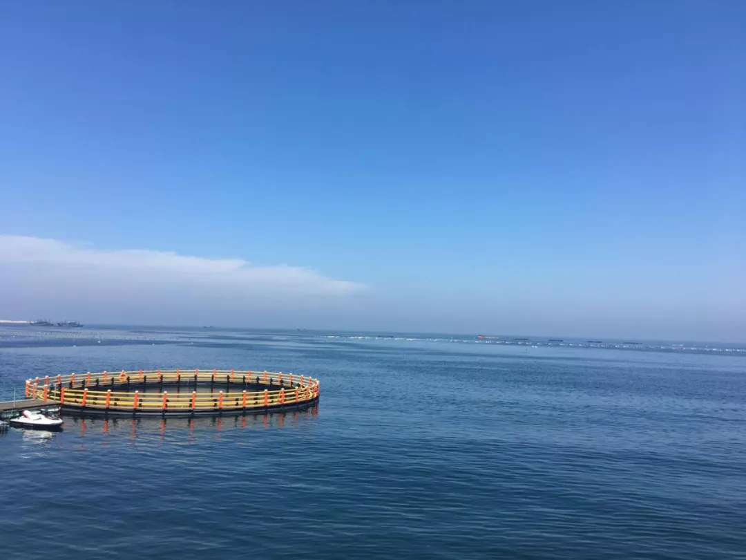 威海二日游，共享夏日情